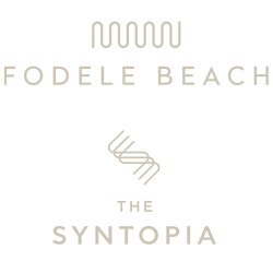 Fodele & Syntopia Logo